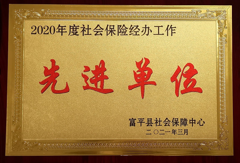 富平公司榮獲富平縣“社會保險(xiǎn)工作先進(jìn)單位”